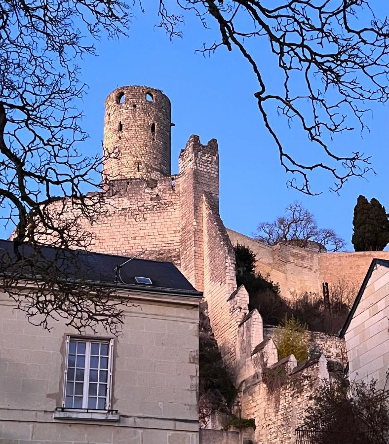 Le Rabelais, Superbe Appartement En Duplex, Proche Forteresse Et Monument Historique Chinon Zewnętrze zdjęcie